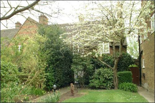 11 Westholm